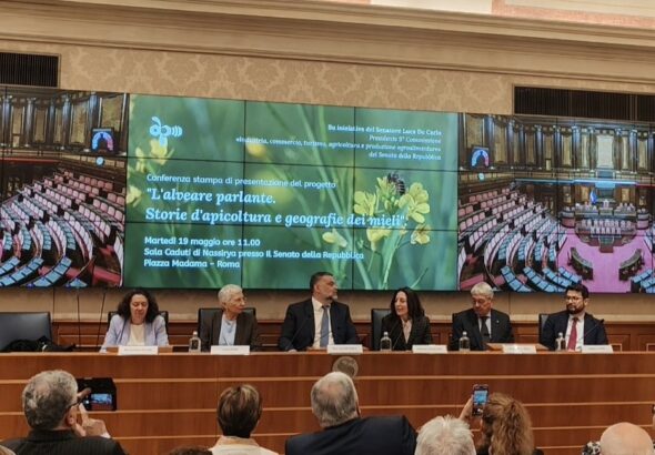 Foto conferenza stampa in Senato_Presentazione Alveare Parlante