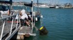 seabin_marina