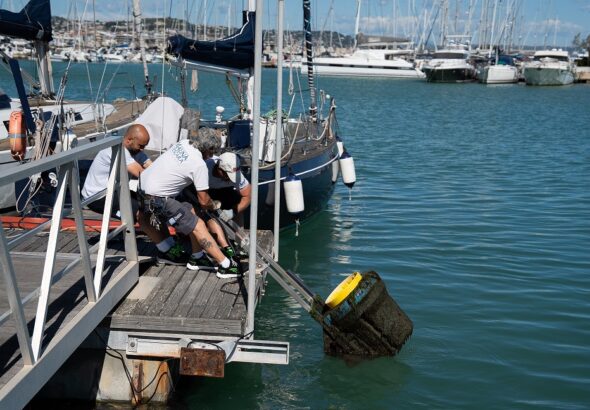 seabin_marina