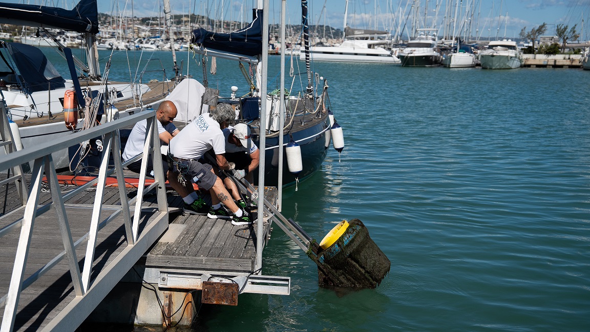 seabin_marina