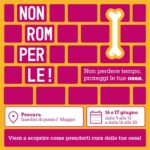 Campagna salute delle ossa