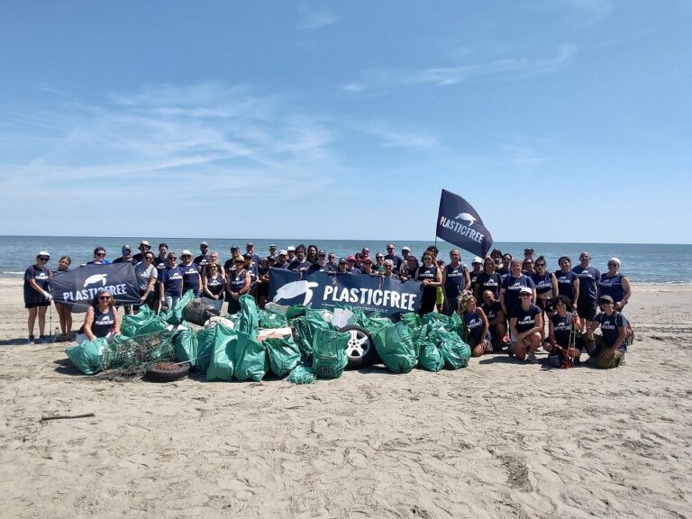 Plastic Free (2)