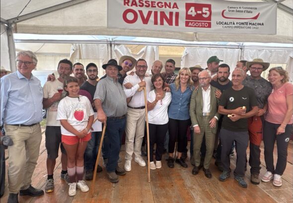 Rassegna Ovini 2026