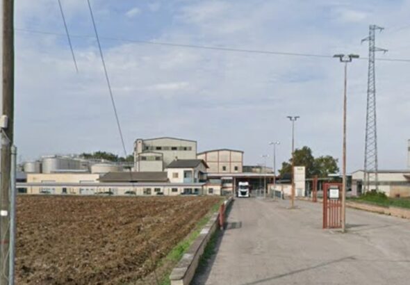 Scerni cantina sociale