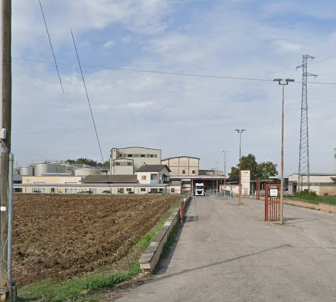 Scerni cantina sociale